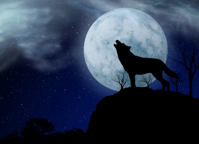 Can a Full Moon Really Affect Your Residents and Customers? – PM Staffing